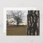 Central Park New York City NYC Tree Briefkaart (Voorkant / Achterkant)