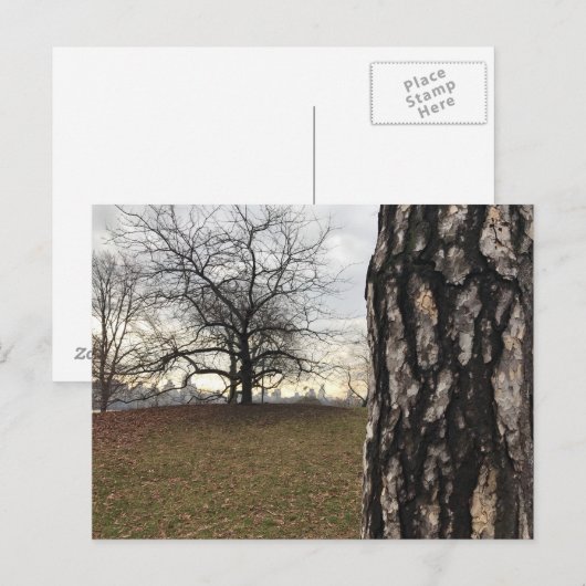 Central Park New York City NYC Tree Briefkaart (Voorkant / Achterkant)