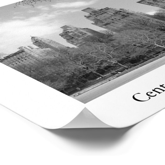 Central Park - New York City Poster (Hoek)