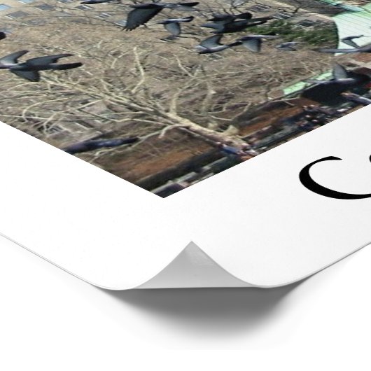 Central Park - New York City Poster (Hoek)