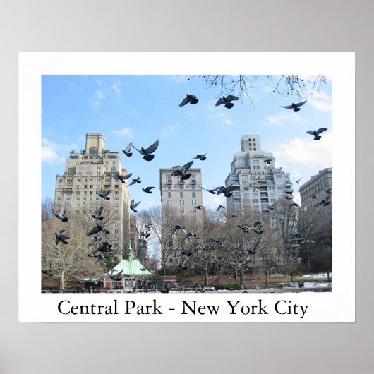 Central Park - New York City Poster (Voorkant)