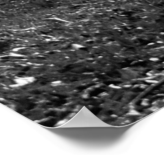 Central Park, New York City Poster (Hoek)