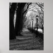 Central Park, New York City Poster (Voorkant)