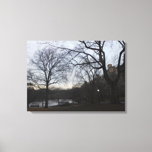 Central Park, New York City, Verenigde Staten Canvas Afdruk (Voorkant)