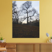 Central Park, New York City, Verenigde Staten Canvas Afdruk (Insitu (Woonkamer))