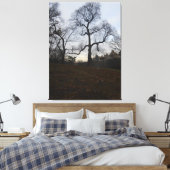 Central Park, New York City, Verenigde Staten Canvas Afdruk (Insitu (Slaapkamer))
