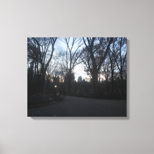 Central Park, New York City, Verenigde Staten Canvas Afdruk (Voorkant)