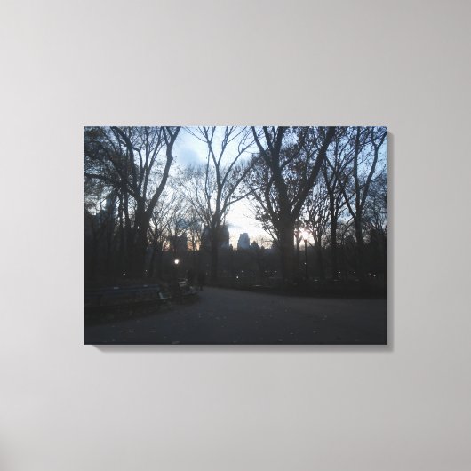 Central Park, New York City, Verenigde Staten Canvas Afdruk (Voorkant)