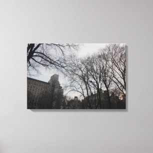 Central Park, New York City, Verenigde Staten Canvas Afdruk