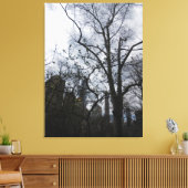 Central Park, New York City, Verenigde Staten Canvas Afdruk (Insitu (Woonkamer))