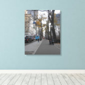 Central Park, New York City, Verenigde Staten Canvas Afdruk (Insitu (Houten vloer))