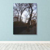 Central Park, New York City, Verenigde Staten Canvas Afdruk (Insitu (Houten vloer))