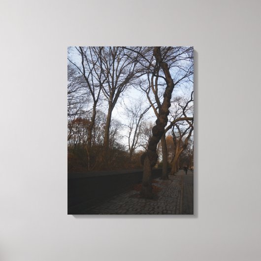 Central Park, New York City, Verenigde Staten Canvas Afdruk (Voorkant)
