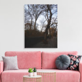 Central Park, New York City, Verenigde Staten Canvas Afdruk (Insitu (Woonkamer))