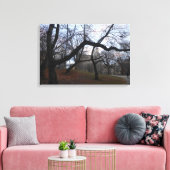 Central Park, New York City, Verenigde Staten Canvas Afdruk (Insitu (Woonkamer))