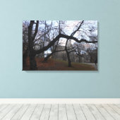 Central Park, New York City, Verenigde Staten Canvas Afdruk (Insitu (Houten vloer))
