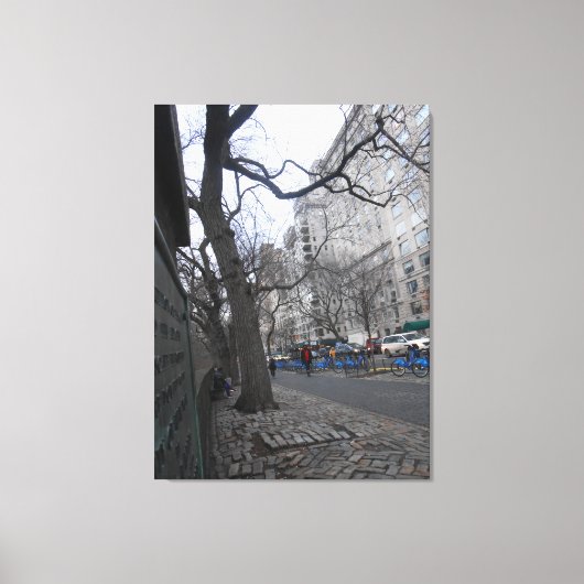 Central Park, New York City, Verenigde Staten Canvas Afdruk (Voorkant)