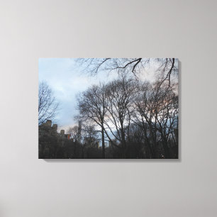 Central Park, New York City, Verenigde Staten Canvas Afdruk
