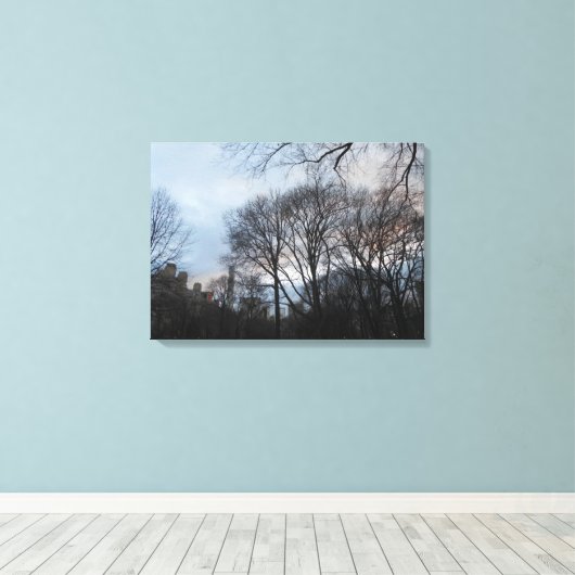 Central Park, New York City, Verenigde Staten Canvas Afdruk (Insitu (Houten vloer))