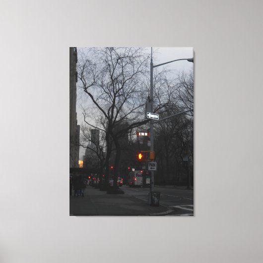 Central Park, New York City, Verenigde Staten Canvas Afdruk (Voorkant)