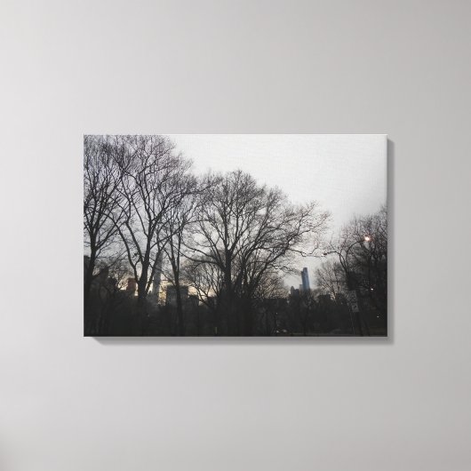 Central Park, New York City, Verenigde Staten Canvas Afdruk (Voorkant)