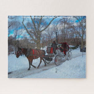 Central Park New York.kerstgroeten Legpuzzel