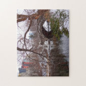 Central Park New York. Legpuzzel (Verticaal)