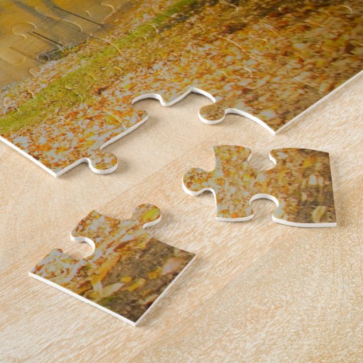 Central Park New York. Legpuzzel (Zijkant)