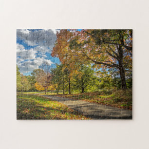 Central Park New York Legpuzzel