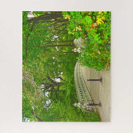Central Park New York. Legpuzzel (Verticaal)