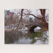 Central Park New York. Legpuzzel (Horizontaal)
