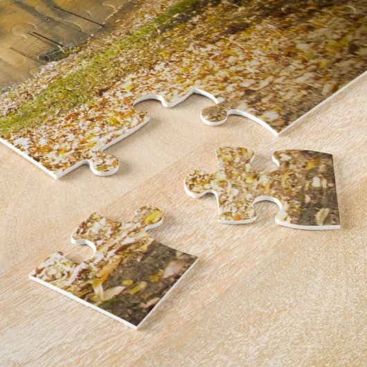 Central Park New York. Legpuzzel (Zijkant)