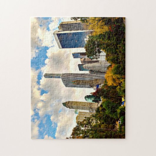 Central Park New York. Legpuzzel (Verticaal)