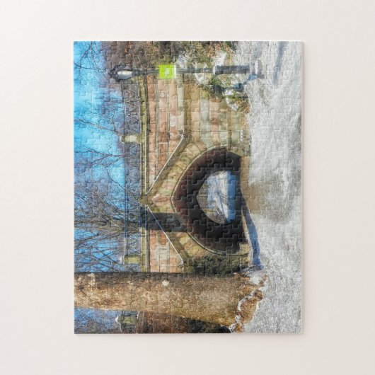 Central Park New York. Legpuzzel (Verticaal)