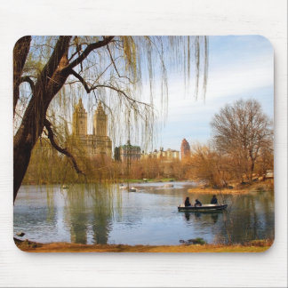 Central Park, New York Muismat