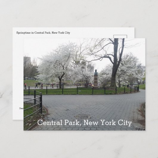 Central Park New York Springtime pad met bomen Briefkaart (Voorkant / Achterkant)