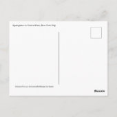 Central Park New York Springtime pad met bomen Briefkaart (Achterkant)