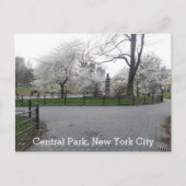 Central Park New York Springtime pad met bomen Briefkaart (Voorkant)
