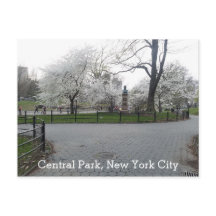 Central Park New York Springtime pad met bomen