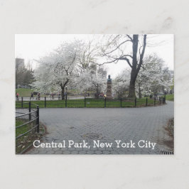 Central Park New York Springtime pad met bomen Briefkaart