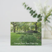 Central Park New York Summer Green Schilderachtig  Briefkaart (Staand voorkant)