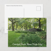 Central Park New York Summer Green Schilderachtig  Briefkaart (Voorkant / Achterkant)