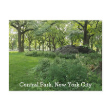 Central Park New York Summer Green Schilderachtig