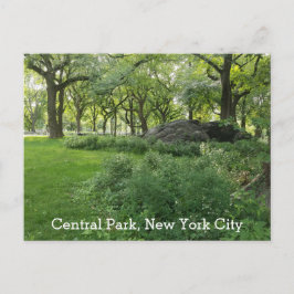 Central Park New York Summer Green Schilderachtig Briefkaart