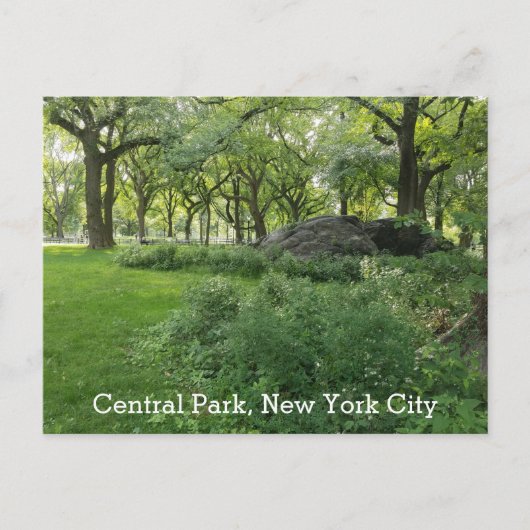 Central Park New York Summer Green Schilderachtig  Briefkaart (Voorkant)