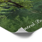 Central Park New York Turtle Pond in zomer Poster (Hoek)