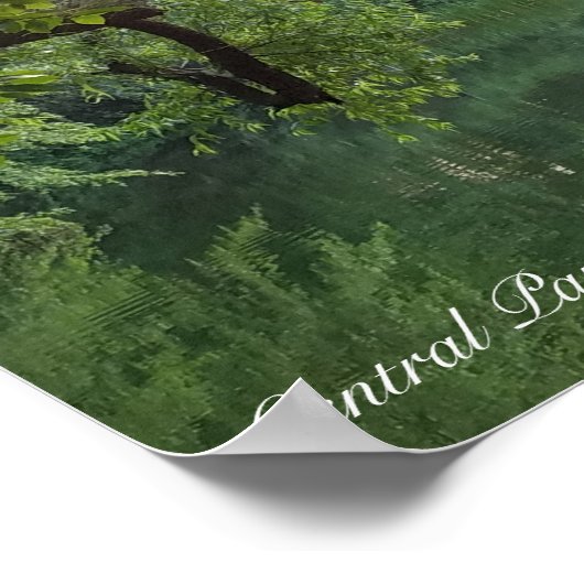 Central Park New York Turtle Pond in zomer Poster (Hoek)