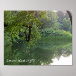 Central Park New York Turtle Pond in zomer Poster