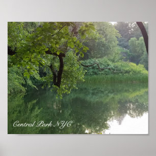 Central Park New York Turtle Pond in zomer Poster