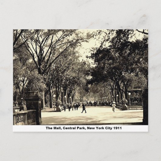 Central Park, New York, Vintage Briefkaart (Voorkant)